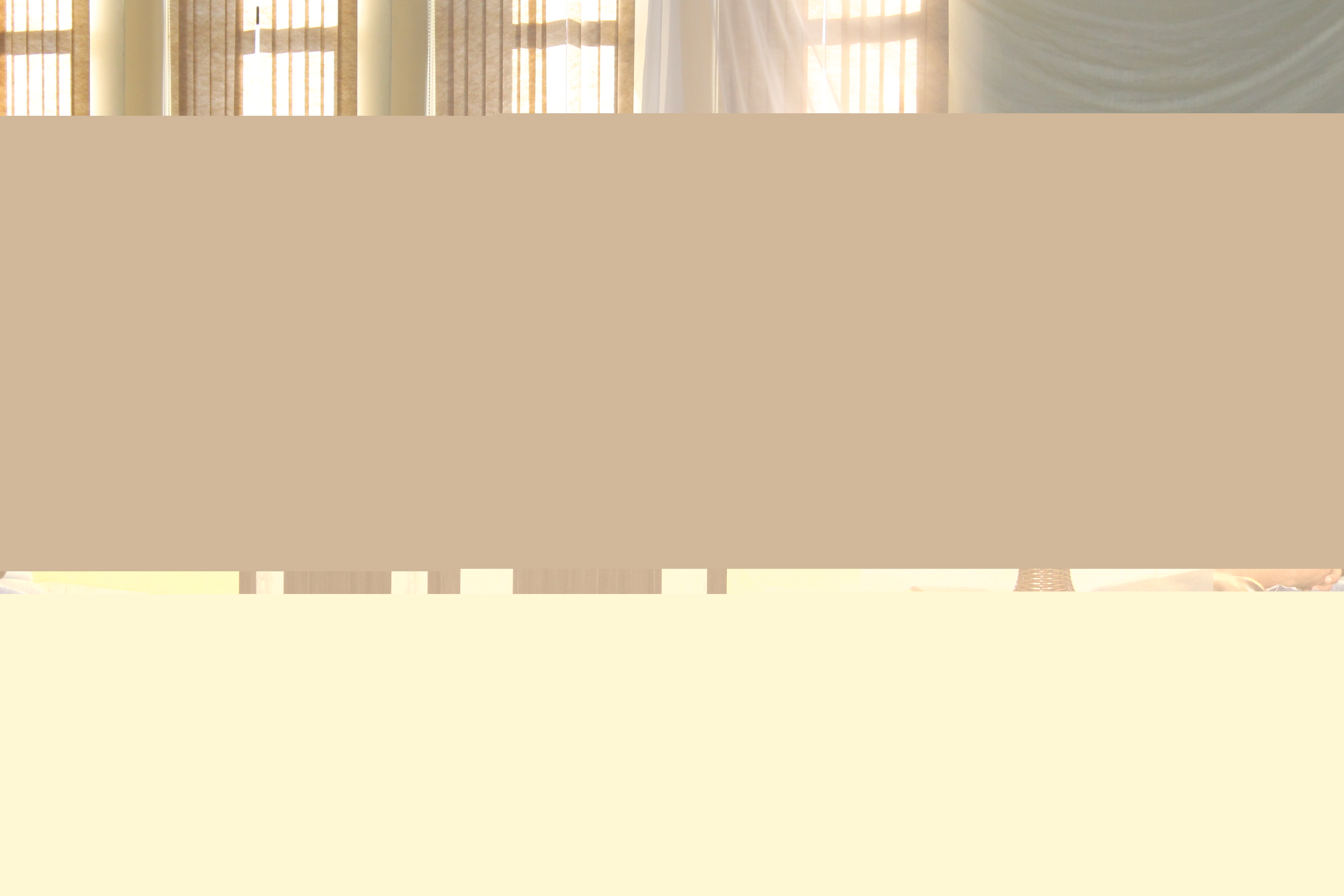 Arquivo: Fotos Cerimonial Posse eleitos e Sessão Escolha Mesa Diretora