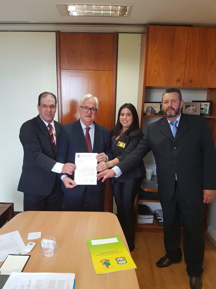 MARCHA À BRASILIA: Vereadores reforçam pedidos e demandas no evento