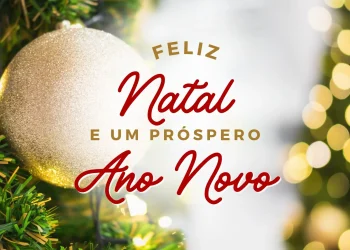 Feliz Natal e Prospero ano Novo!