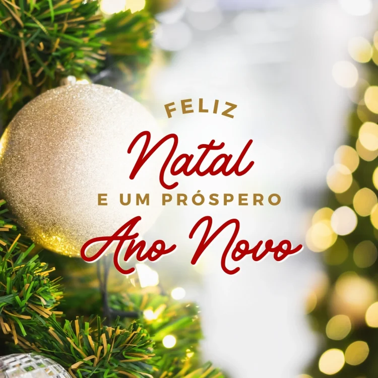 Feliz Natal e Prospero ano Novo!