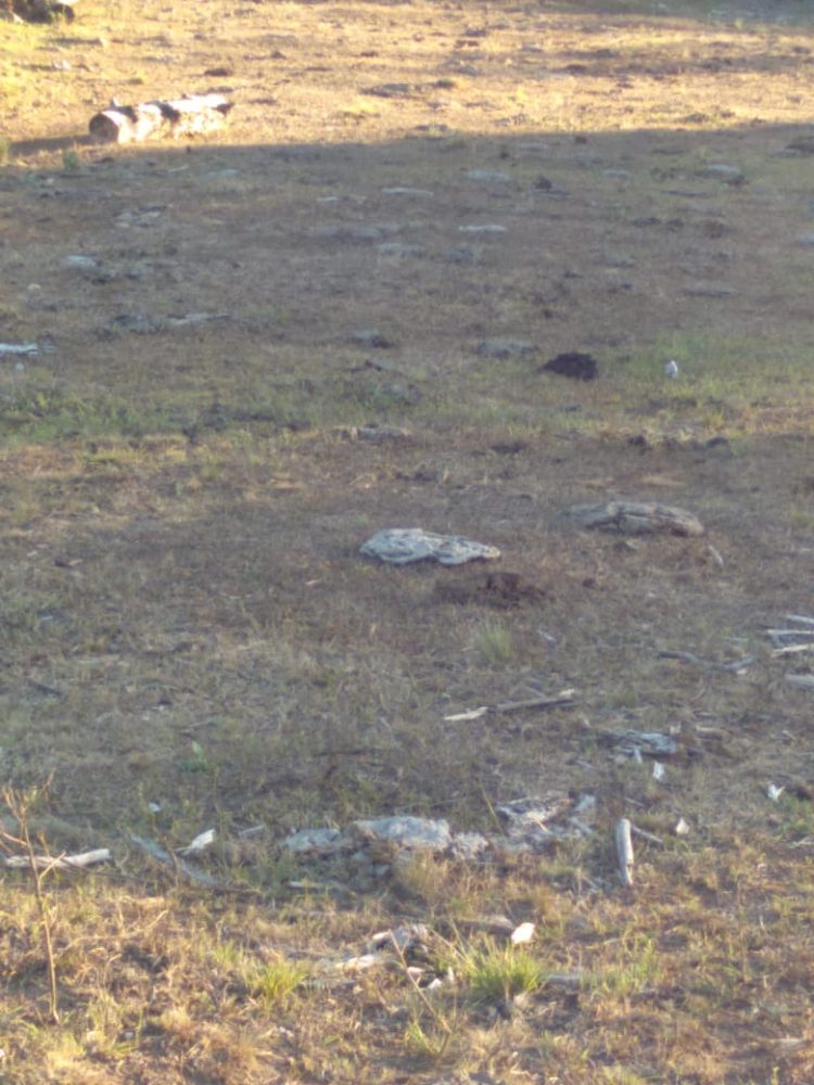 ESTIAGEM: Presidente do Legislativo solicita que executivo realize estudo para decretar Situação de Emergência em Jacuizinho.