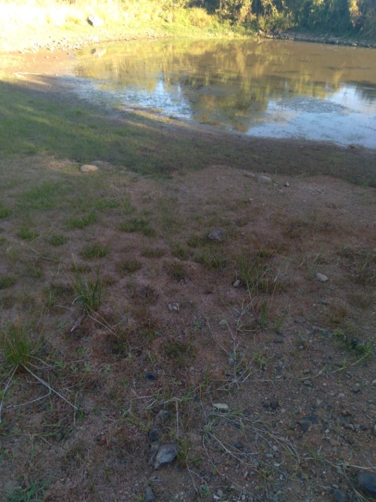 ESTIAGEM: Presidente do Legislativo solicita que executivo realize estudo para decretar Situação de Emergência em Jacuizinho.