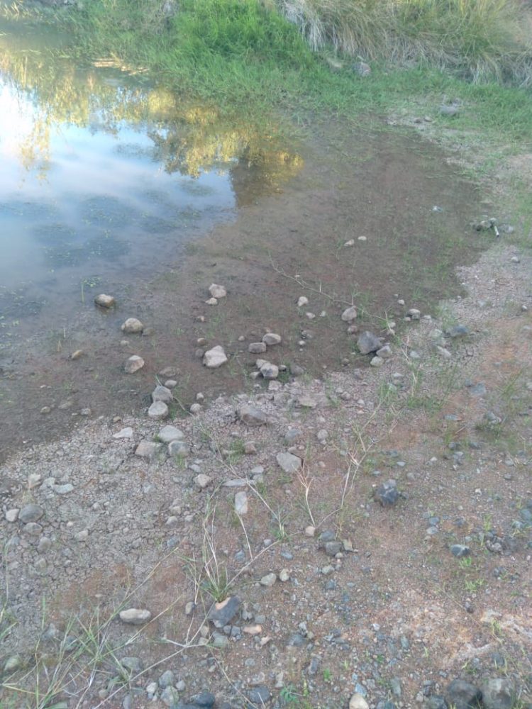 ESTIAGEM: Presidente do Legislativo solicita que executivo realize estudo para decretar Situação de Emergência em Jacuizinho.