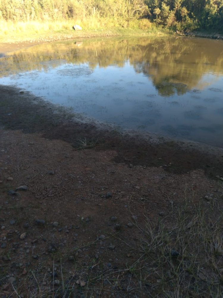 ESTIAGEM: Presidente do Legislativo solicita que executivo realize estudo para decretar Situação de Emergência em Jacuizinho.