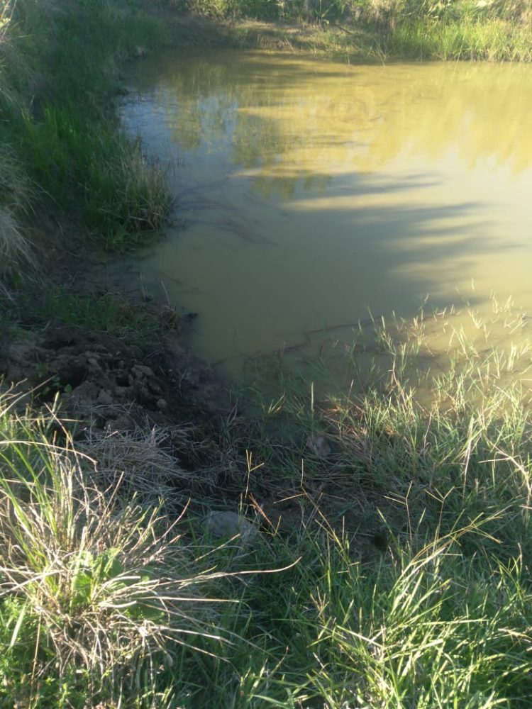 ESTIAGEM: Presidente do Legislativo solicita que executivo realize estudo para decretar Situação de Emergência em Jacuizinho.