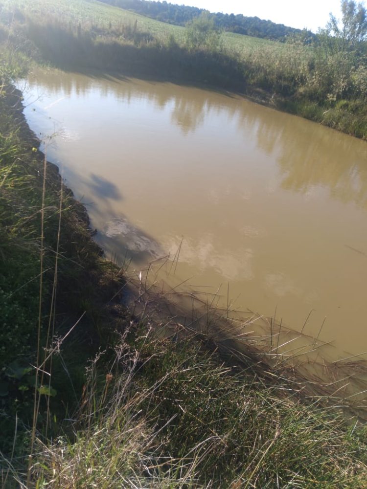 ESTIAGEM: Presidente do Legislativo solicita que executivo realize estudo para decretar Situação de Emergência em Jacuizinho.