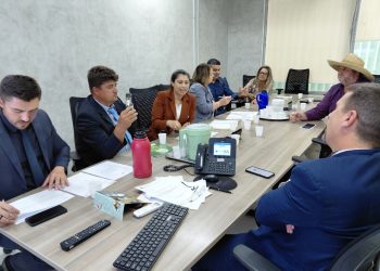 RECURSOS: Presidente do legislativo e vereadores protocolam pedidos em Brasília.