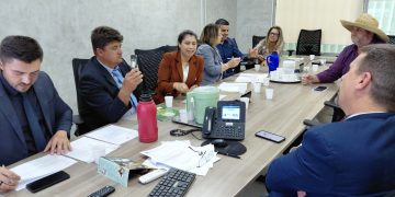 RECURSOS: Presidente do legislativo e vereadores protocolam pedidos em Brasília.