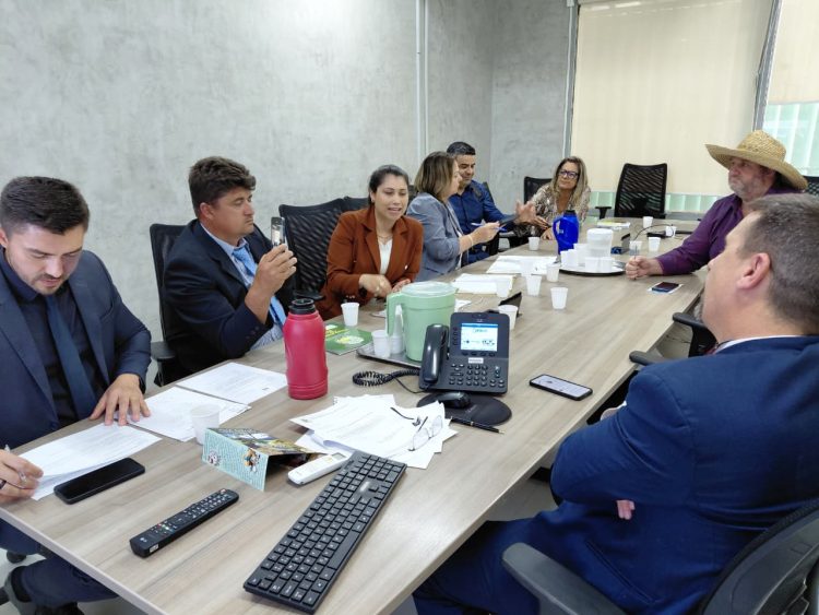 RECURSOS: Presidente do legislativo e vereadores protocolam pedidos em Brasília.